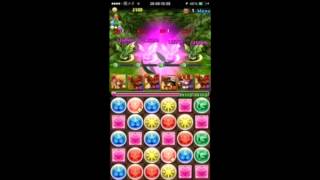 【パズドラ】木曜ダンジョン(超地獄級) 五右衛門×赤おでんpt 高速周回