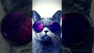 Cool dogs and cats edit❤️❤️ ||#shorts #cool
