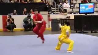 Amazing Kung Fu demonstration