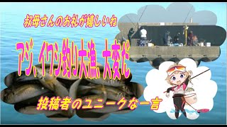 アジ、イワシ釣り大漁、大変だ大変だ