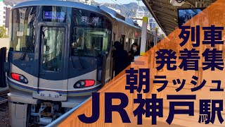 【新快速・快速・各停が激混み大混雑！朝ラッシュ限定ホームに快速が入線！】JR西日本 神戸線 神戸駅 通勤・朝ラッシュ 列車発着集