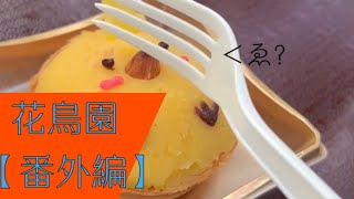 花鳥園の番外編動画！！！