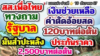 ทวงถามรัฐบาลเงินช่วยเหลือค่าตัดอ้อยสด 120บาทต่อตันพร้อมทั้งมาตรการช่วยเหลือเกษตรกรผู้ปลูกมันสำปะหลัง