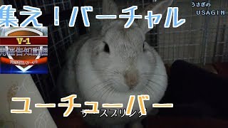 V-1応援？告知？動画【うさぎのUSAGIN】Rabbit Queen