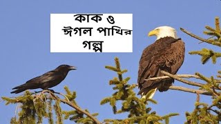 গল্প : কাক ও ঈগল পাখির গল্প | Story: The Crow \u0026 The Eagle | শিক্ষনীয় গল্প | Bangla