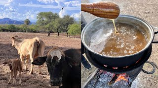 Atole de Péchita Desde el Rancho de mis Padres (Vaina de Mezquite) - La Herencia de las Viudas