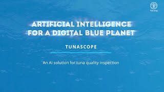 FAO AI4DBP TUNASCOPE – An AI solution for tuna quality inspection