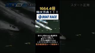 【下関競艇】2023年11月28日の最高配当レース！！1600倍！！1.三嶌2.田川3.後藤4.塚田5.中島6.魚谷#shorts #short #競艇 #ボートレース