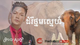 ដំរីថ្នមស្នេហ៍/ព្រាបសុវត្ថិ/{Pheak official }