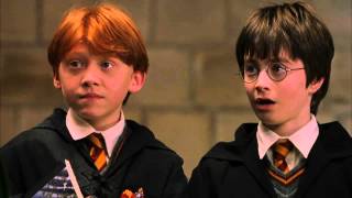 Harry Potter Foreshadowing in Mcgonagall's First Lesson