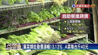 梅雨來襲農民搶收 葉菜類批發價上漲13.1％－民視新聞