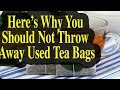 Here’s Why You Should Not Throw Away Used Tea Bags