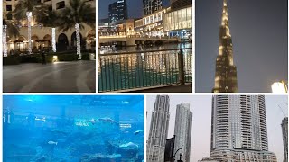 Vlog of Burj khalifa world tallest tower | Tour & view from the top ( Dubai )