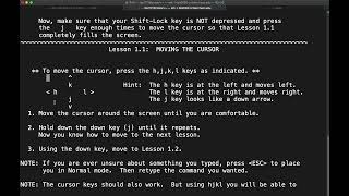 Learning vim with vimtutor