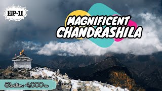 CHANDRASHILA | Chandrashila Trek | 4000m above | TUNGNATH MAHADEV | MAGNIFICENT CHANDRASHILA | EP-11