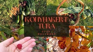 Konyhakerttúra | November 2024.