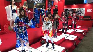 TOKYO GAME SHOW 2017　東京ゲームショウ2017（その５） ゲームコスプレ　プロレスラー雷神矢口レポート