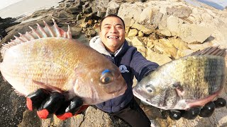 悬崖下十几米长的海峡沟，抽干后坑底海货接连冒出，大熊抓爽了