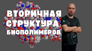 Что такое вторичная структура биополимеров? Душкин объяснит