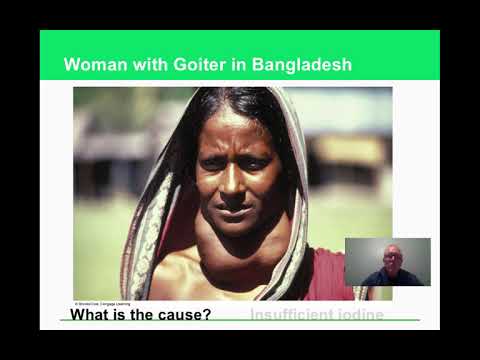 Apes Chapter 12 Youtube