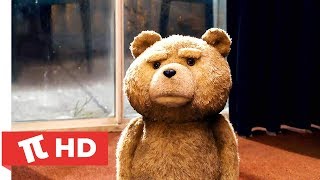 Ayı Teddy | Kavga Sahnesi | HD