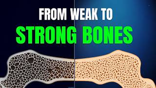 The Smartest Way to Boost Bone Density in 2026 (Science Explained)