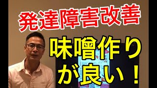 発達障害改善の大切な要素は偏食の改善と味噌汁【発達の遅れの治療改善はサンタクロース】