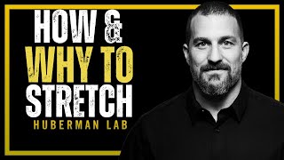 Improve Flexibility with Research-Supported Stretching Protocols | Andrew Huberman