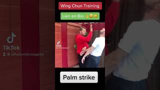 Wing Chun Training : kung fu fighting technique for beginners How to basic !