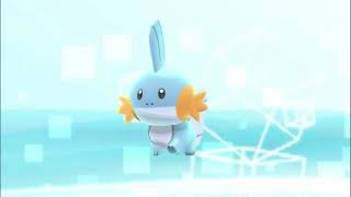 mudkip walk, but for an hour