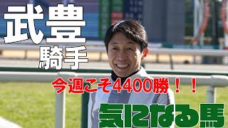 【武豊】今週こそ通算4400勝達成へ！土曜日6鞍、日曜日3鞍騎乗期待はメイン白富士ステークスのドーブネ