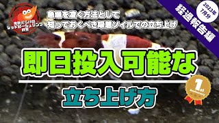 即日投入可能な立ち上げ方〜経過報告編(2023年7月分)〜【レッドビーシュリンプ】