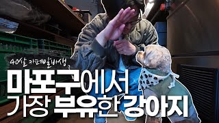 Cafe vlog | 40살 카페 알바생이 특별한 손님들을 맞이하는 방법