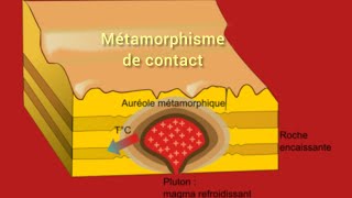 Le métamorphisme de contact