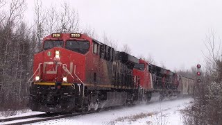 A Dog's Breakfast! CN Extra Train X306 at Lutesville East - Moncton, NB