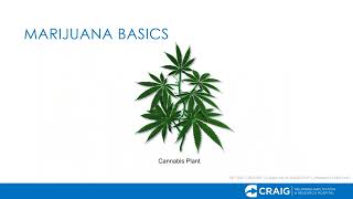 WEBINAR: Marijuana Talk from a Pharmacist's Point of View