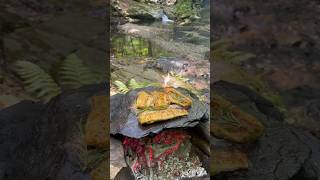 Doğal Taş Üzerinde Levrek Balığı 🐟 - Cooking sea bass Fish on natural stone