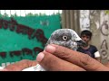 ২৩ ০৮ ২০২৪ খুলনার নয়াবাটি হাট।khulna pigeon market