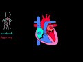 flow through the heart circulatory system physiology nclex rn khan academy