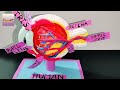 human eye model 3d eye model using clay diy science project biology model