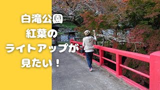 【白滝公園 紅葉】もみじのライトアップを見に来た…でも？