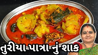 તુરીયા પાત્રા નું શાક કેવી રીતે બનાવવું - Turiya Patra Nu Shaak - Aru'z Kitchen - Gujarati Recipe