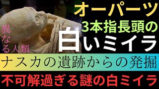 【オーパーツ】異人類「白いミイラ」3本指で長頭/ナスカ遺跡からの発掘/不可解過ぎる謎の白いミイラ