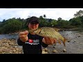 Sabah Stream Fishing / Casting Kelah Pelian /#DaiwaSteezAHLC / #RyuHampalaKiller1_4lb / Ryu Chiang