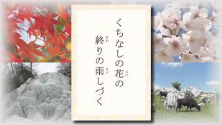 テレビ愛媛「きょうの俳句」「くちなしの花の終りの雨しづく」今井肖子作　2017年6月26日放送（No.117）