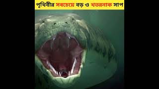 এই দানবীয় সাপটি কতটা খতরনাক দেখুন 😳| titanoboa snake | #shorts