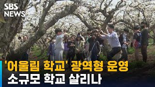 소규모 학교 살리기 위한 '어울림 학교'…광역형 운영한다 / SBS