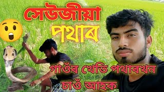 গাওঁৰ খেতি পথাৰখন চাওঁ আহক// ASSAMESE VLOG/ASSAMESE VIDEO//JONAK K vlogs//#assamese_vlogs