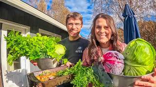 Alaska Fall FAMILY Harvest to Table