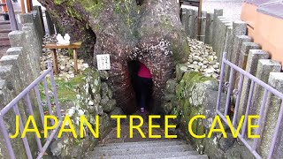 Japanese Tree Cave \u0026 Huge Waterfall (Kumano Nachi Taisha, 熊野那智大社) and Kumano Hayatama Taisha